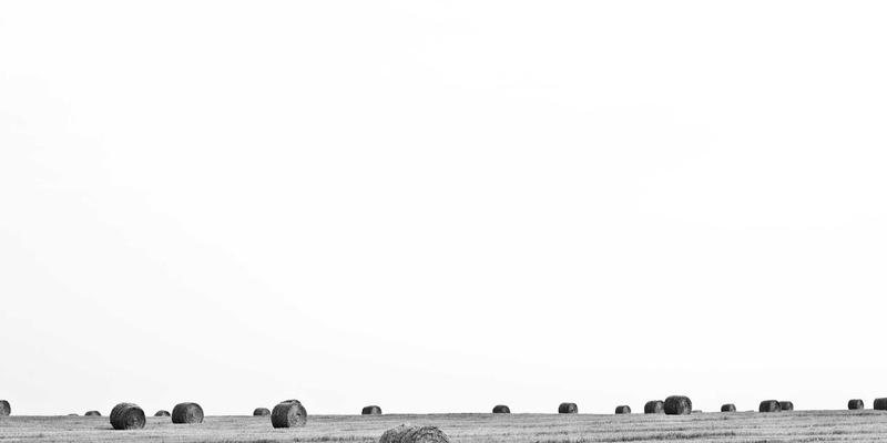 788商城农产品上行通道解析：如何搭建从田间到餐桌的数字化供应链？