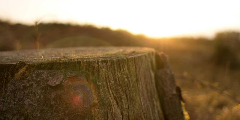 788商城平台治理策略揭秘：如何运用规则与技术双管齐下打击刷单炒信？