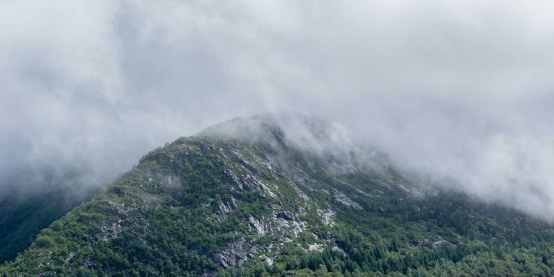788商城绿色物流实践：从环保包装到新能源配送车的可持续发展之路