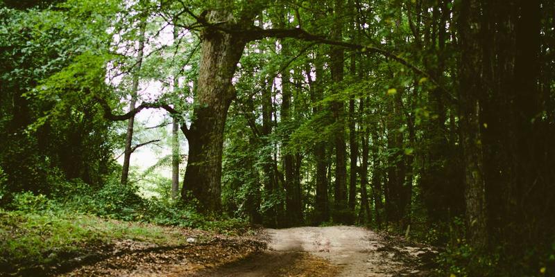 AI客服进化论：从智能应答到情感交互，看788商城如何提升服务温度与效率