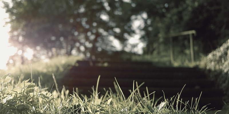 从入驻到热卖:商家在788商城的完整运营攻略与爆单秘籍