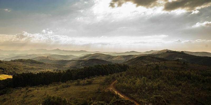 从田间到餐桌的数字化桥梁：深度解析788商城农特产专区助农新模式