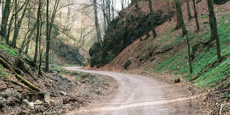 电商平台适老化改造指南：788商城如何通过界面设计与服务优化关爱银发群体？