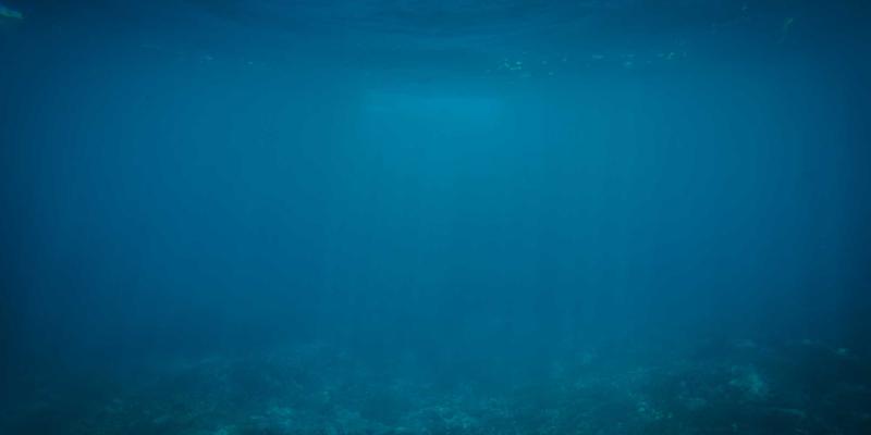 银发经济新蓝海：788商城如何为中老年用户打造友好便捷的购物体验？